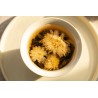 Black Tea Balls with White Chrysanthemum