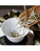 White teas and Oolong